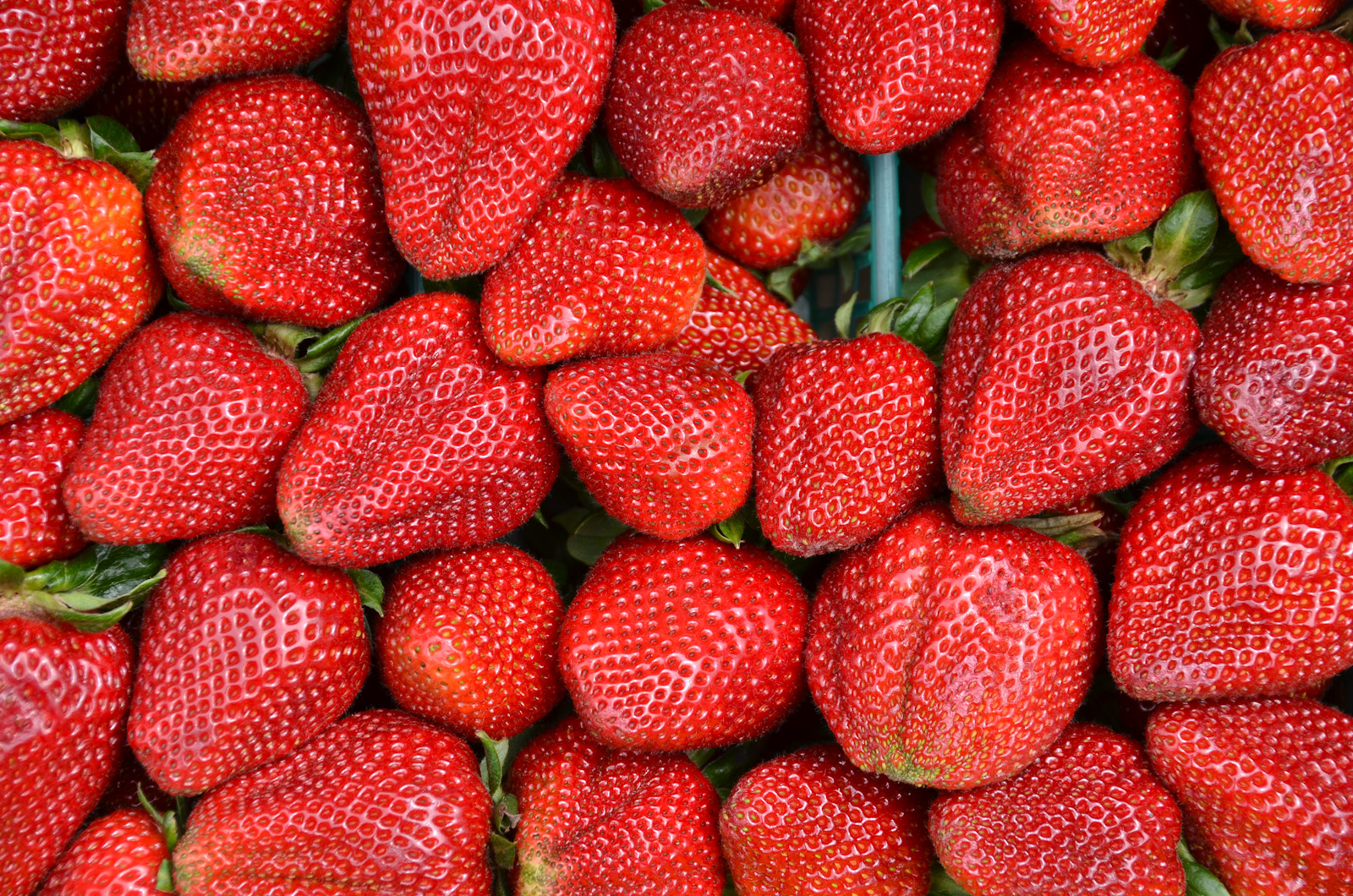 Infinite Strawberriness