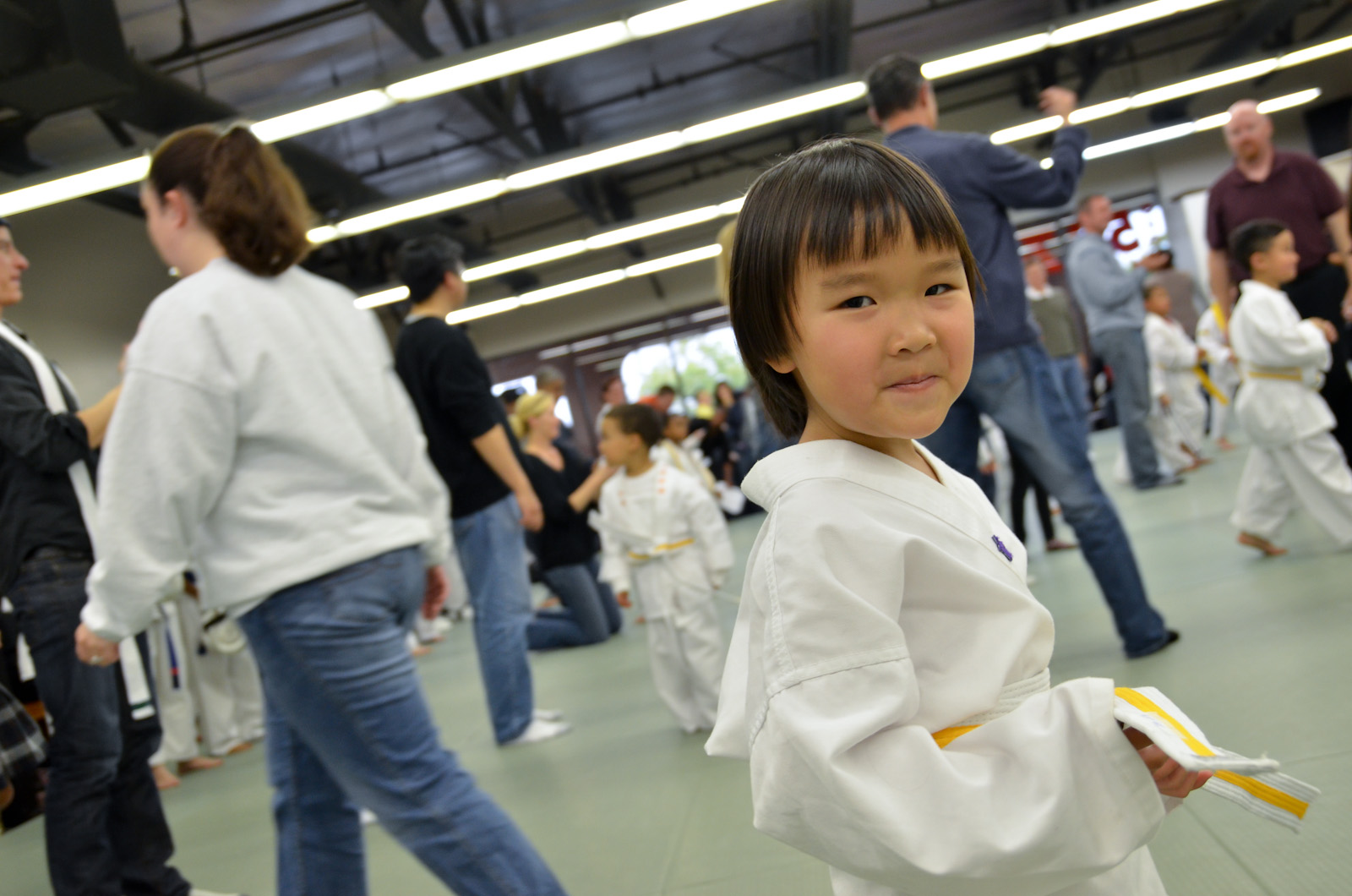master yellow