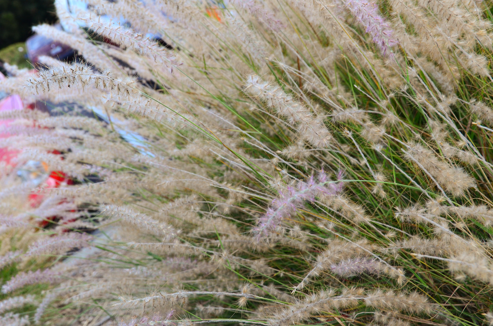 Fuzziness