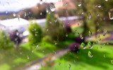 macro in the micro